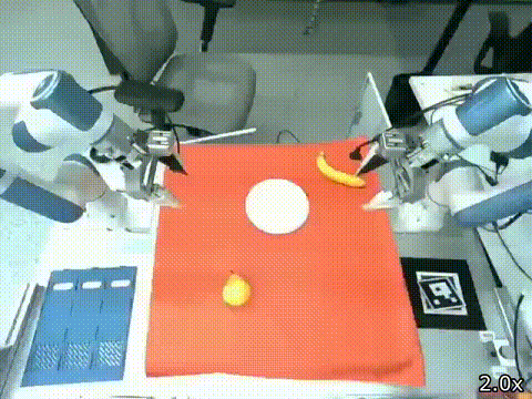 biarm.gif